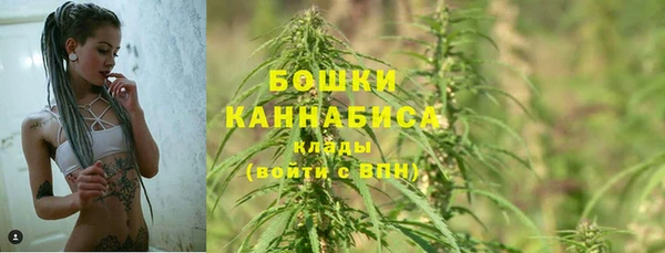 дурь Медногорск