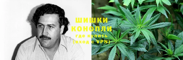 крисы Медвежьегорск