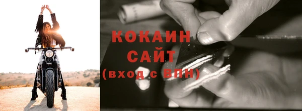 крисы Медвежьегорск