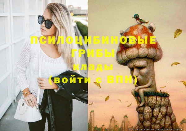 дурь Медногорск