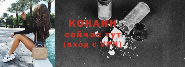 крисы Медвежьегорск
