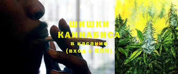 крисы Михайловск